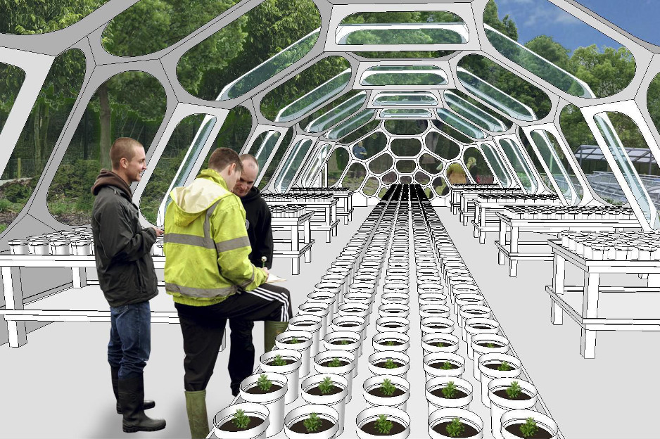 Suzanne Heath - Spaceplates Greenhouse