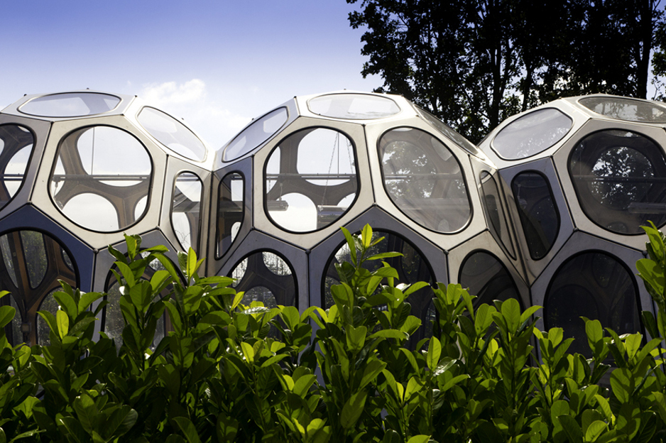 Suzanne Heath - Spaceplates Greenhouse