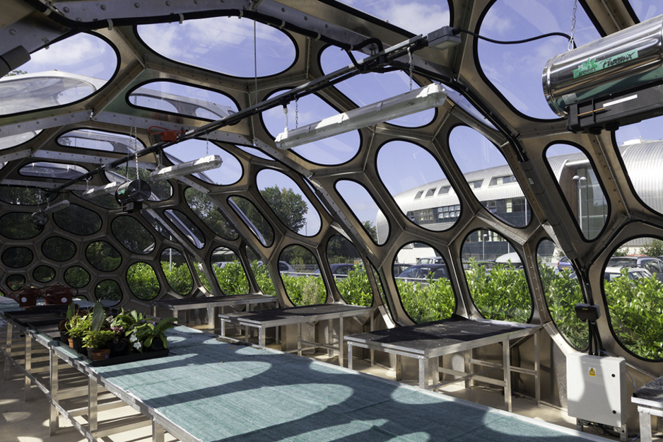 Suzanne Heath - Spaceplates Greenhouse