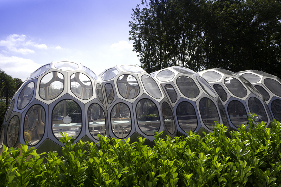 Suzanne Heath - Spaceplates Greenhouse
