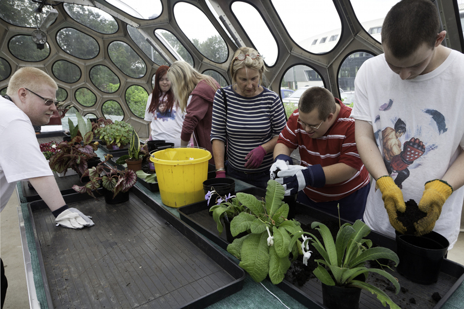 Suzanne Heath - Spaceplates Greenhouse