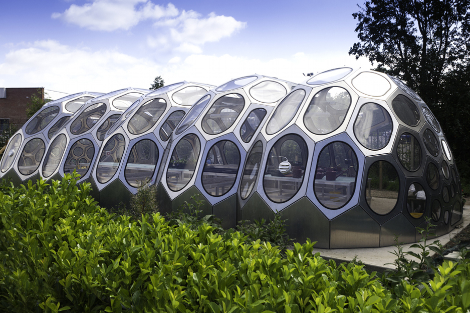 Suzanne Heath - Spaceplates Greenhouse