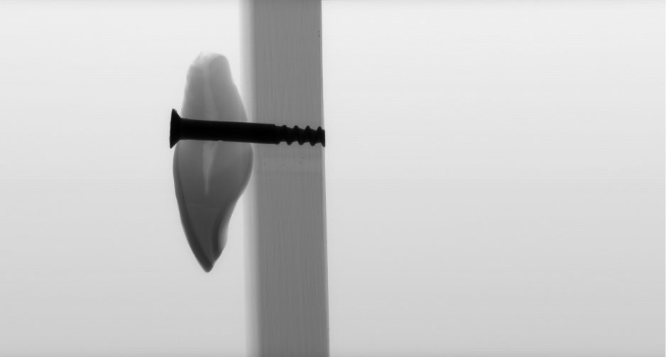 Suzanne Heath - On the Art of Teeth