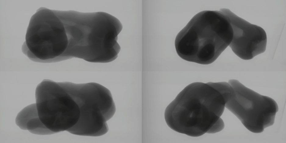 Suzanne Heath - On the Art of Teeth